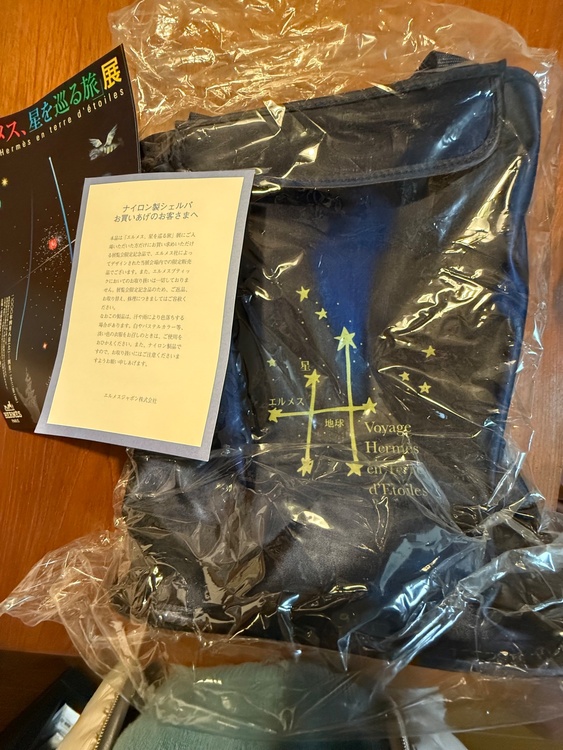 展覧会限定　ビニール（ブランドバッグ）の商品画像 - 査定依頼日：2026年2月13日 - 最高査定価格：10,000円