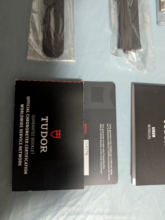 ペラゴス39（高級時計）の商品画像 - 査定依頼日：2026年3月3日 - 最高査定価格：540,000円