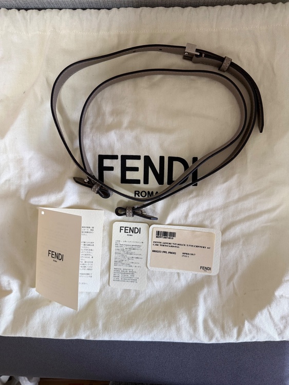 フェンディ その他 （ブランドバッグ）の商品画像 - 査定依頼日：2026年4月19日 - 最高査定価格：50,000円