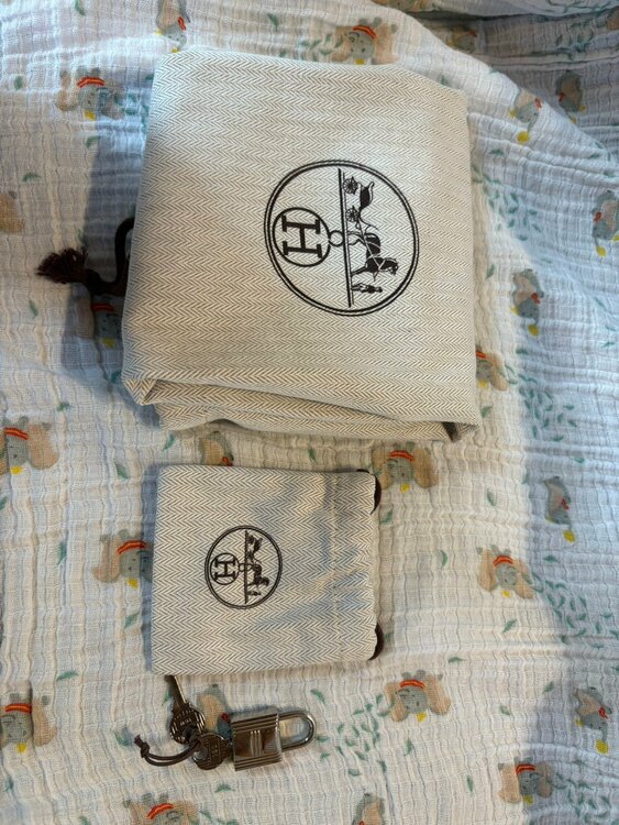 ピコタンロックタッチPM （ブランドバッグ）の商品画像 - 査定依頼日：2026年3月30日 - 最高査定価格：210,000円