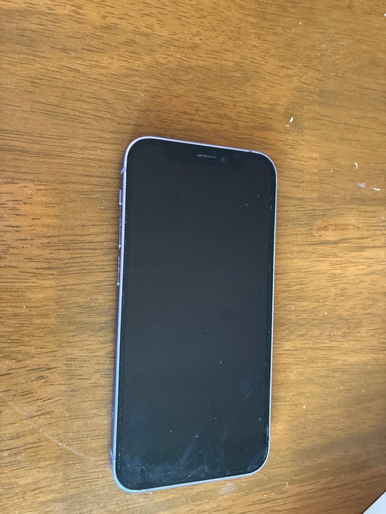 iPhone iPhone 12 mini 64GB SIMフリー（スマホ）の商品画像 - 査定依頼日：2026年6月11日 - 最高査定価格：14,000円