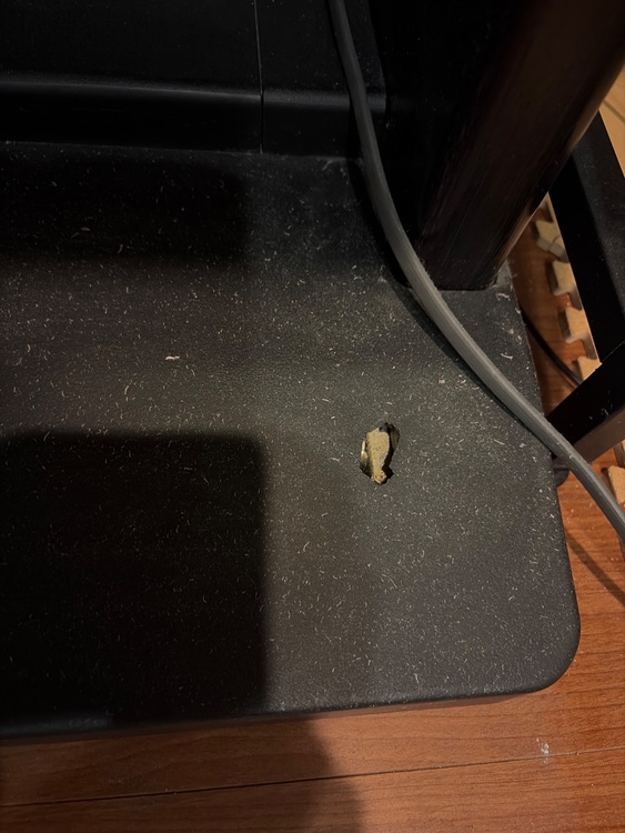 エレクトーン　EL500（ピアノ・楽器・PA機材）の商品画像 - 査定依頼日：2026年4月7日 - 最高査定価格：5,000円