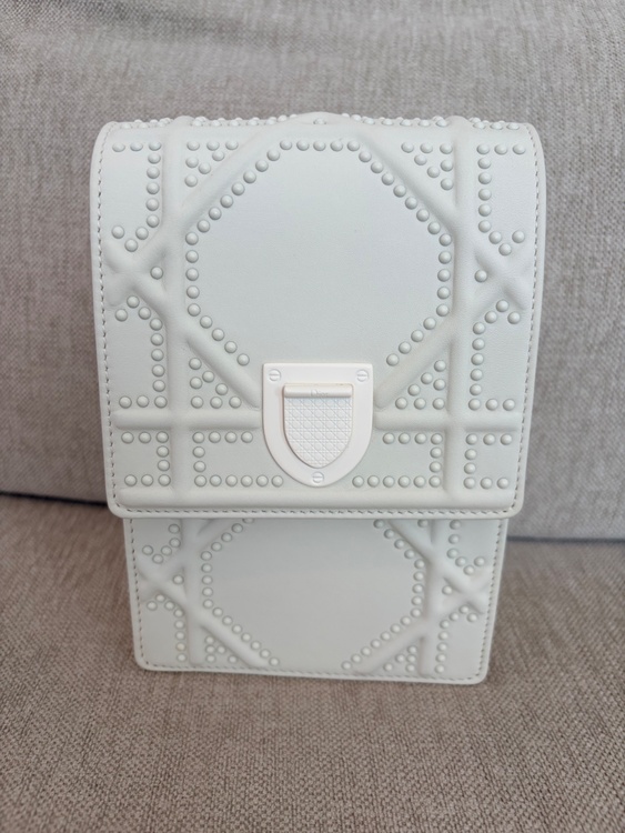 dior diora pouch（ブランドバッグ）の商品画像 - 査定依頼日：2026年9月25日 - 最高査定価格：40,000円