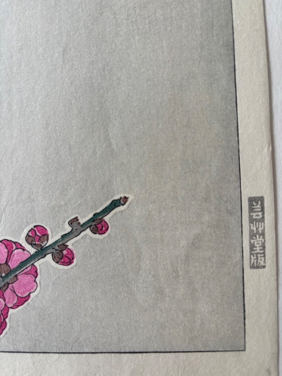 紅梅（美術品・骨董品）の商品画像 - 査定依頼日：2026年6月29日 - 最高査定価格：2,000円