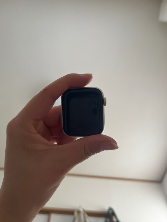 その他 その他 （高級時計）の商品画像 - 査定依頼日：2025年4月19日 - 最高査定価格：10,000円