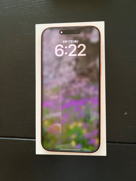 iPhone iPhone 17 Pro Max 512GB au（スマホ）の商品画像 - 査定依頼日：2026年6月17日 - 最高査定価格：189,000円