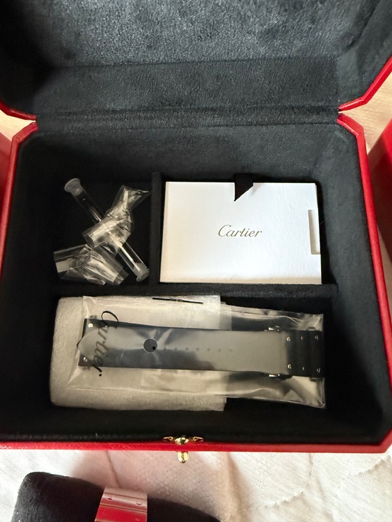 サントスドゥカルティエ　LM WSSA0037（高級時計）の商品画像 - 査定依頼日：2025年10月7日 - 最高査定価格：1,000,000円