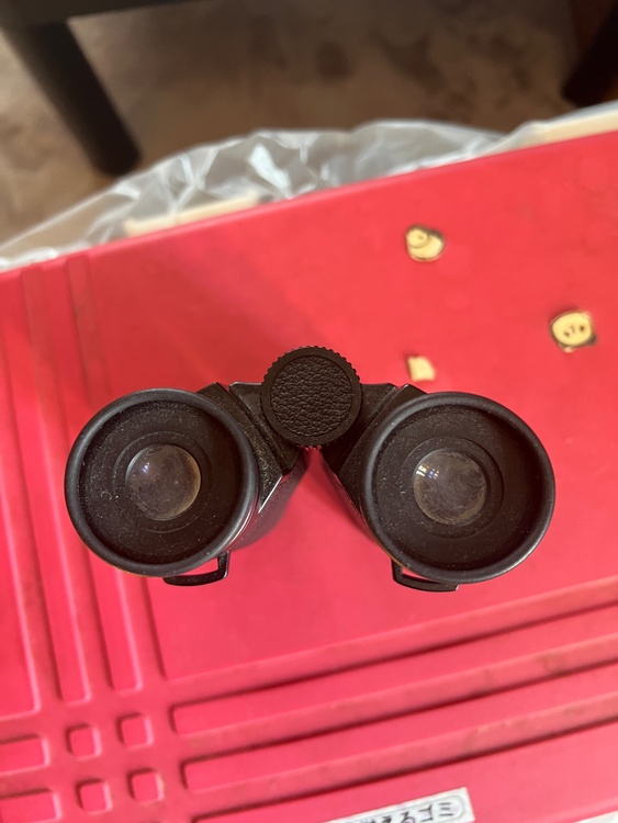 Nikon双眼鏡（カメラ）の商品画像 - 査定依頼日：2026年1月14日 - 最高査定価格：2,000円