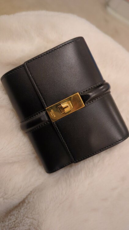 セリーヌ  （ブランドバッグ）の商品画像 - 査定依頼日：2026年2月22日 - 最高査定価格：50,000円