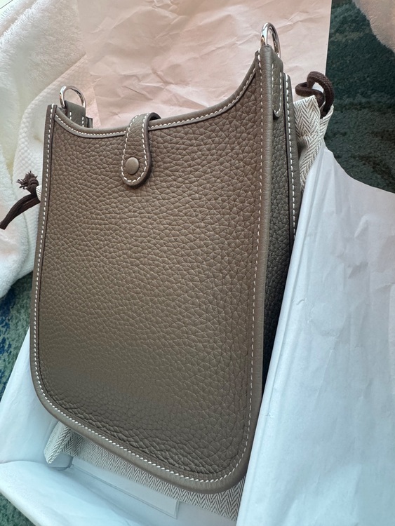 ミニエブリン tpm（ブランドバッグ）の商品画像 - 査定依頼日：2025年7月15日 - 最高査定価格：370,000円