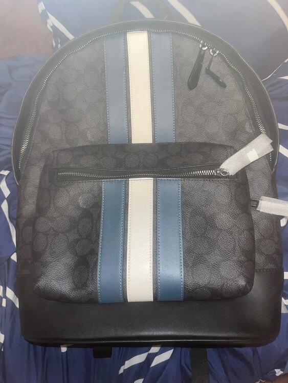 その他 コーチ （ブランドバッグ）の商品画像 - 査定依頼日：2025年1月10日 - 最高査定価格：10,000円