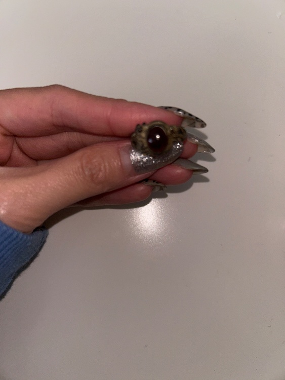 わからない（宝石）の商品画像 - 査定依頼日：2026年1月13日 - 最高査定価格：100,000円