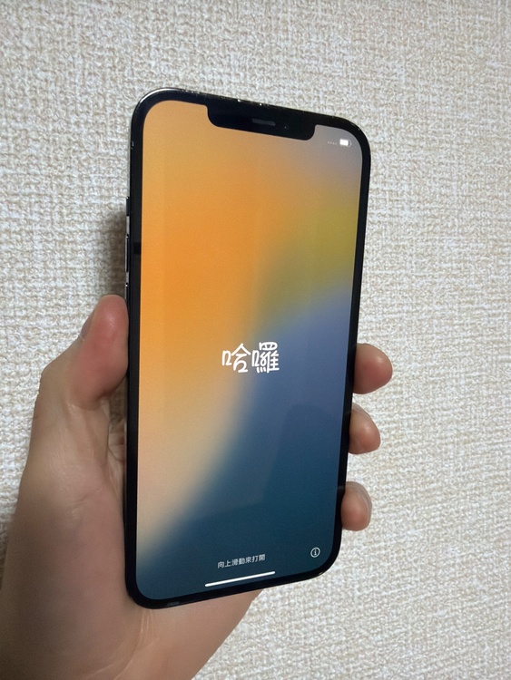 iPhone 12 Pro Max 256GB SIMフリー（スマホ）の商品画像 - 査定依頼日：2026年4月3日 - 最高査定価格：44,000円