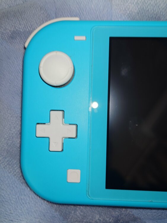 Nintendo Switch Lite（ゲーム機本体・ゲームソフト）の商品画像 - 査定依頼日：2026年4月12日 - 最高査定価格：12,000円