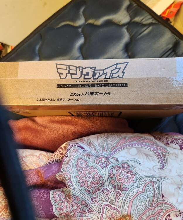 デジヴァイス25周年モデル八神太一カラーDXセット（その他のおもちゃ）の商品画像 - 査定依頼日：2025年4月26日 - 最高査定価格：18,000円