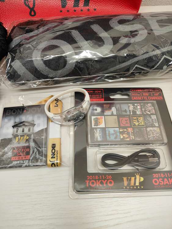 Bon Jovi　ボン・ジョヴィ（その他のおもちゃ）の商品画像 - 査定依頼日：2025年1月19日 - 最高査定価格：4,500円