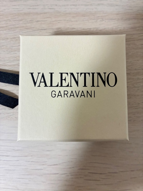 【Valentino】Vロゴ シグネチャー メタル ピアス（金・貴金属）の商品画像 - 査定依頼日：2026年5月26日 - 最高査定価格：100,000円