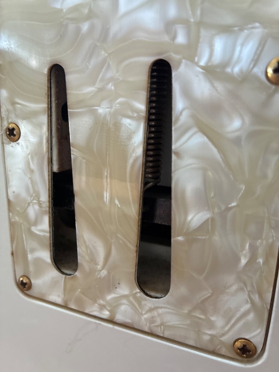 ラルクアンシエル Kenシグネチャーモデル（ピアノ・楽器・PA機材）の商品画像 - 査定依頼日：2026年2月6日 - 最高査定価格：18,000円