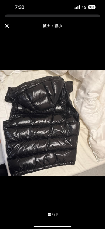 ダウンベスト（古着・ファッション）の商品画像 - 査定依頼日：2026年1月5日 - 最高査定価格：45,000円