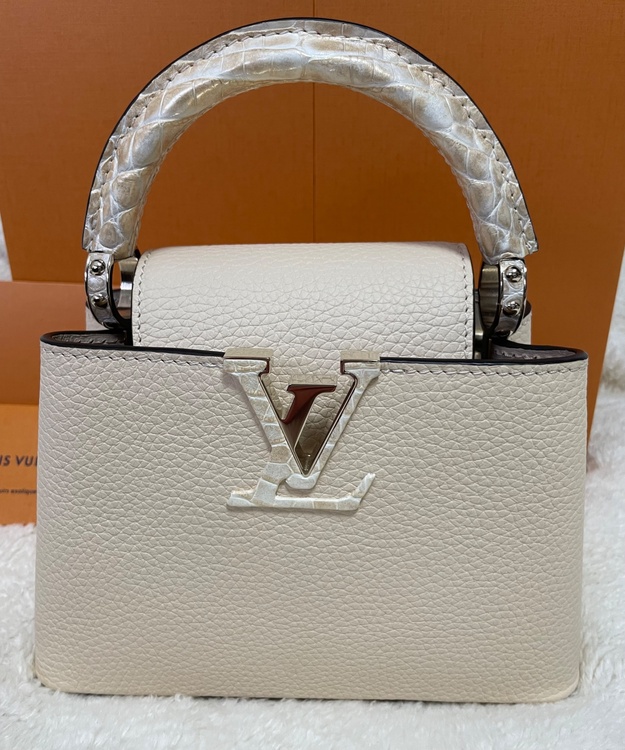 ルイヴィトン ルイヴィトン(その他) （ブランドバッグ）の商品画像 - 査定依頼日：2026年3月26日 - 最高査定価格：100,000円