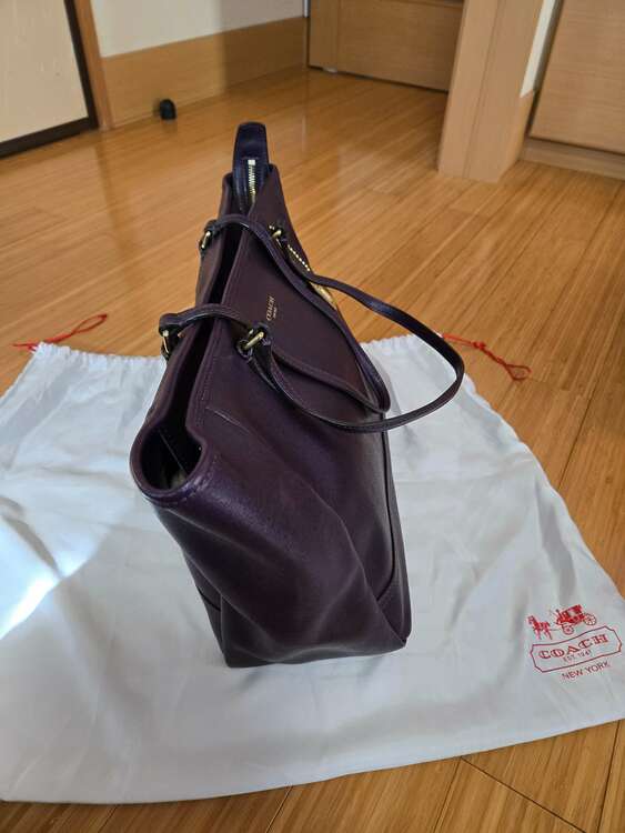 コーチ　トートバッグ（ブランドバッグ）の商品画像 - 査定依頼日：2025年2月9日 - 最高査定価格：3,000円