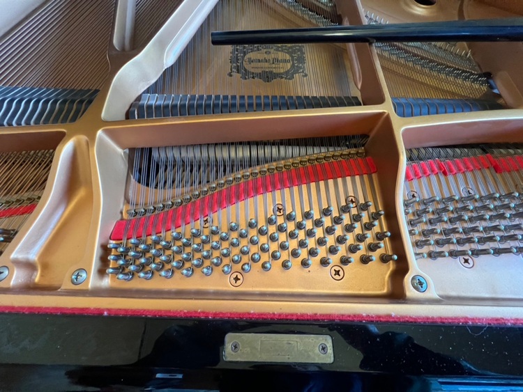 C3AE6004374（ピアノ・楽器・PA機材）の商品画像 - 査定依頼日：2025年11月29日 - 最高査定価格：3,000円