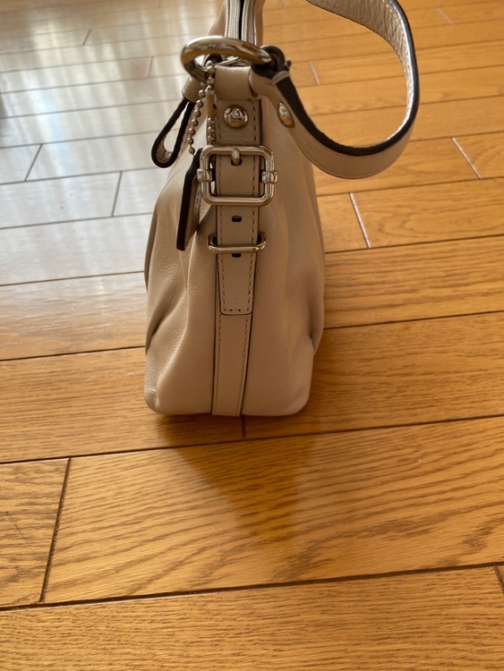 その他 コーチ （ブランドバッグ）の商品画像 - 査定依頼日：2026年4月9日 - 最高査定価格：5,000円