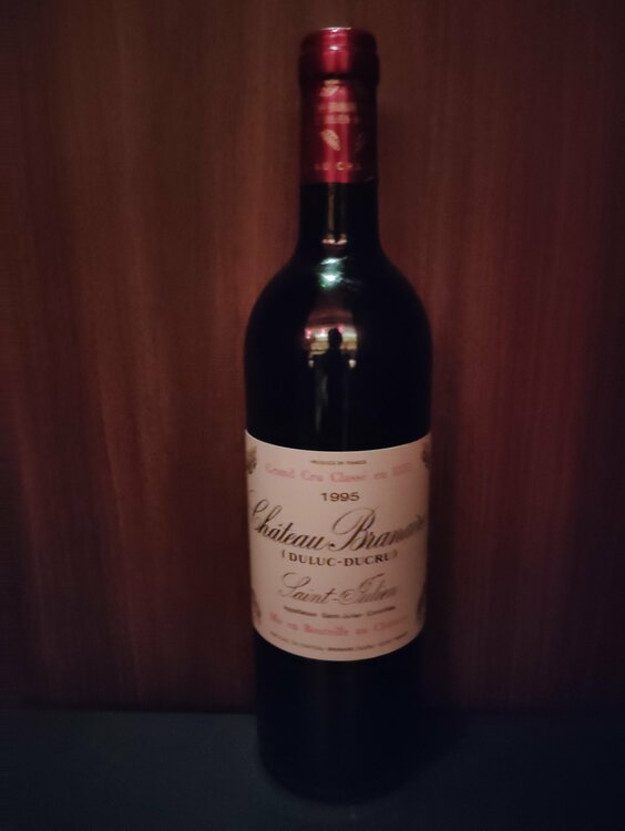 シャトーブラネールデュクリュ　1995年（お酒）の商品画像 - 査定依頼日：2026年3月11日 - 最高査定価格：6,000円