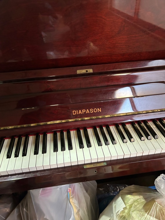 126-S（ピアノ・楽器・PA機材）の商品画像 - 査定依頼日：2026年4月19日 - 最高査定価格：10,000円