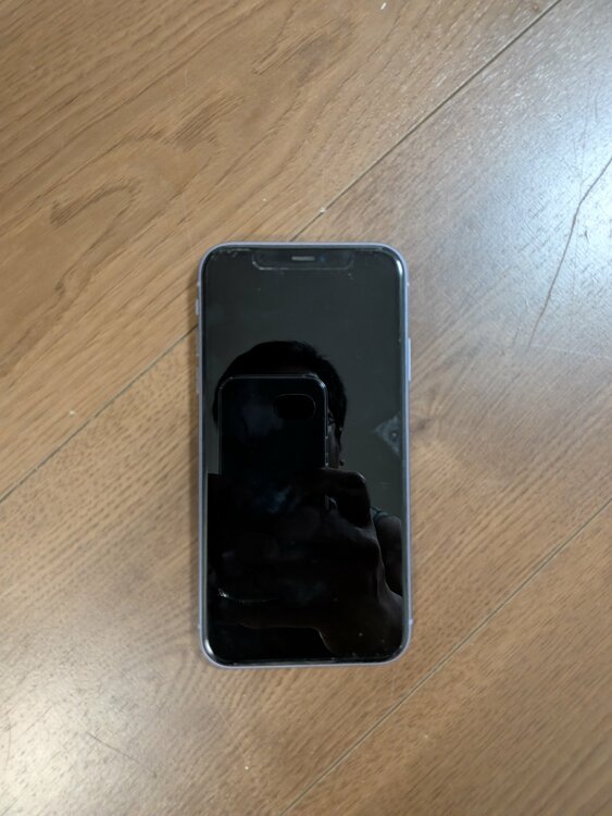 iPhone iPhone11 256GB SIMフリー（スマホ）の商品画像 - 査定依頼日：2026年9月6日 - 最高査定価格：23,500円