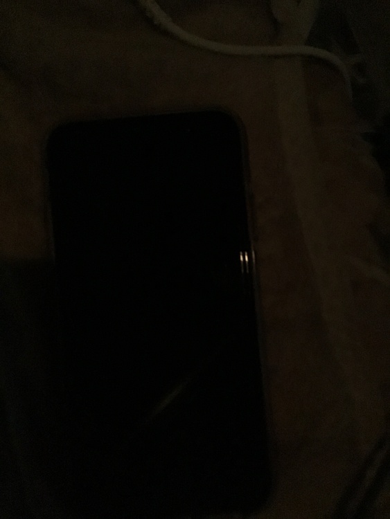 iPhone iPhone11 64GB docomo（スマホ）の商品画像 - 査定依頼日：2026年8月12日 - 最高査定価格：19,000円
