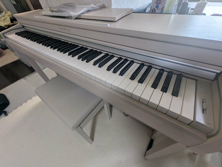 商品名:CN201 A 型番:Y096618（ピアノ・楽器・PA機材）の商品画像 - 査定依頼日：2026年6月11日 - 最高査定価格：42,000円