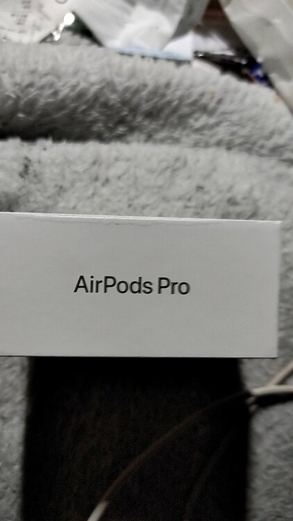 AirPodsPro（オーディオ・スピーカー）の商品画像 - 査定依頼日：2026年3月27日 - 最高査定価格：22,100円