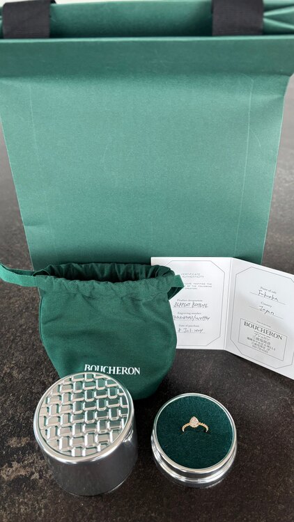 ブシュロン　セルパンボエムスモールPG（宝石）の商品画像 - 査定依頼日：2025年5月29日 - 最高査定価格：265,000円