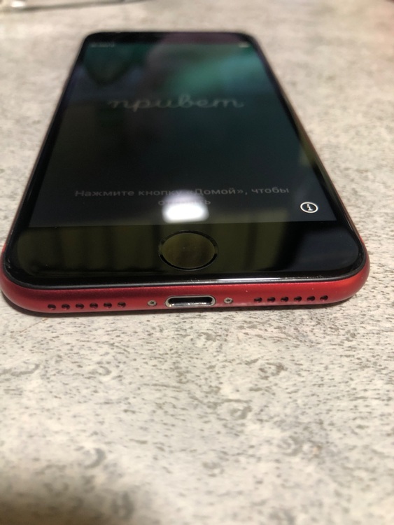 iPhone SE (第 2 世代) 64GB SIMフリー（スマホ）の商品画像 - 査定依頼日：2025年10月15日 - 最高査定価格：14,000円