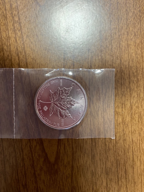 パラジウムコイン（金・貴金属）の商品画像 - 査定依頼日：2025年10月17日 - 最高査定価格：230,000円