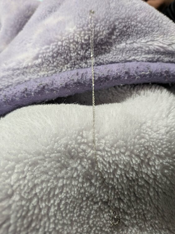 ネックレス（金・貴金属）の商品画像 - 査定依頼日：2025年12月16日 - 最高査定価格：16,000円