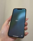 iPhone 13 Pro 256GB 楽天モバイル（スマホ）の商品画像 - 査定依頼日：2026年5月1日 - 最高査定価格：49,000円