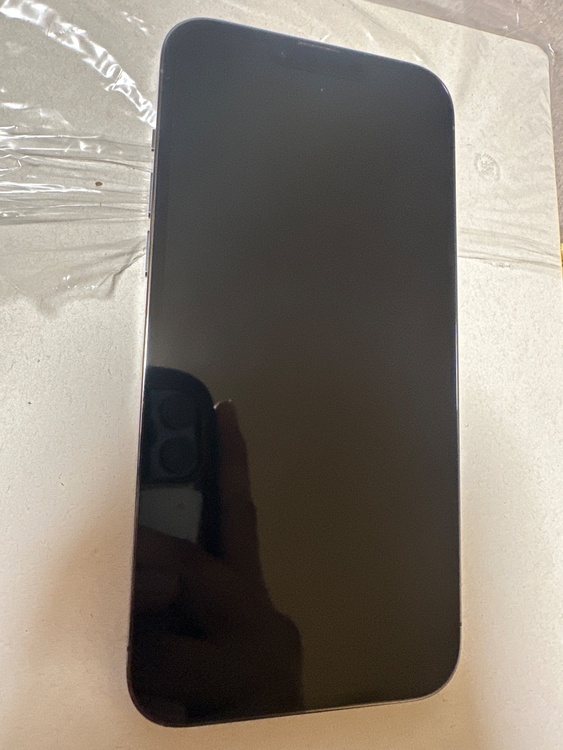 iPhone iPhone 13 Pro Max 256GB docomo（スマホ）の商品画像 - 査定依頼日：2026年6月7日 - 最高査定価格：67,000円