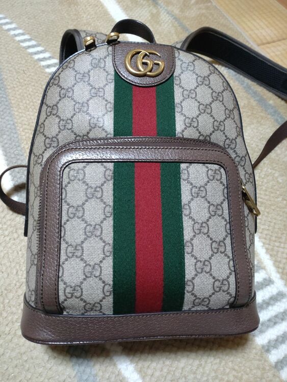 〔オフィディア〕 GG スモールバックパック（ブランドバッグ）の商品画像 - 査定依頼日：2025年11月14日 - 最高査定価格：100,000円