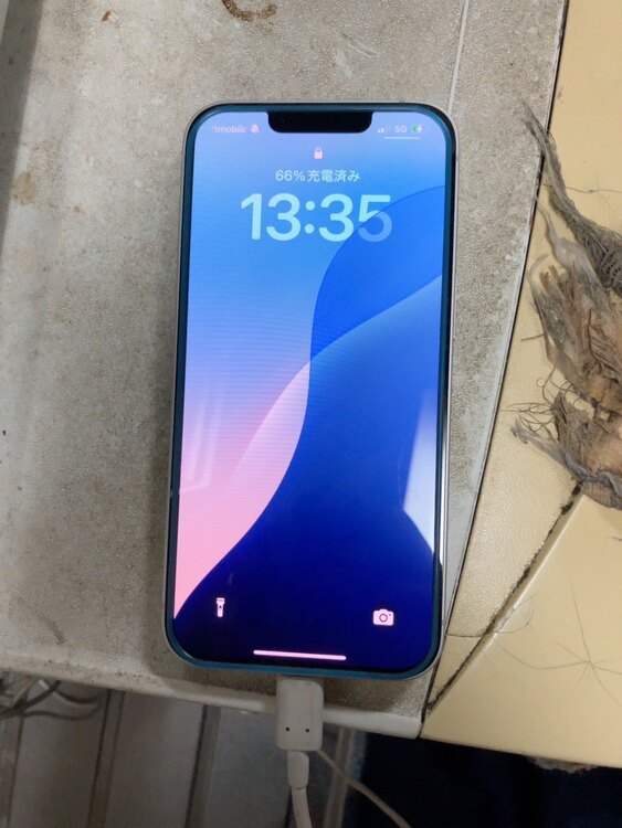 iPhone16e（スマホ）の商品画像 - 査定依頼日：2025年4月23日 - 最高査定価格：80,000円