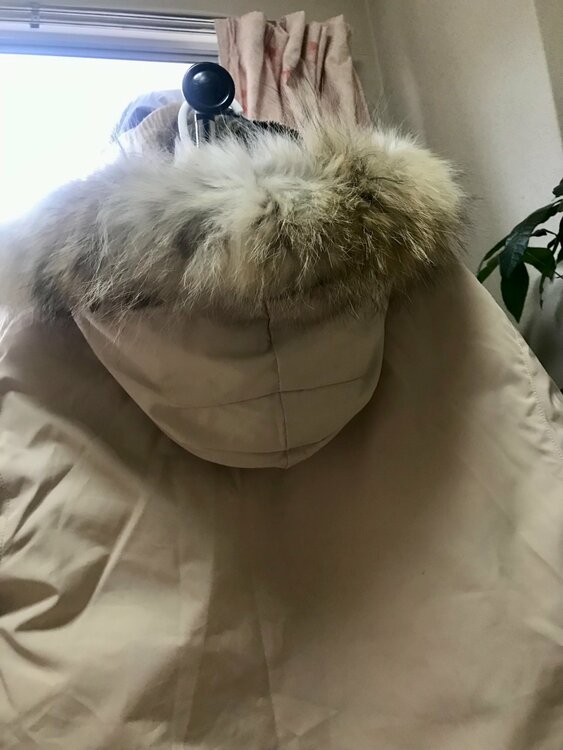 カナダグース（古着・ファッション）の商品画像 - 査定依頼日：2026年2月8日 - 最高査定価格：20,000円