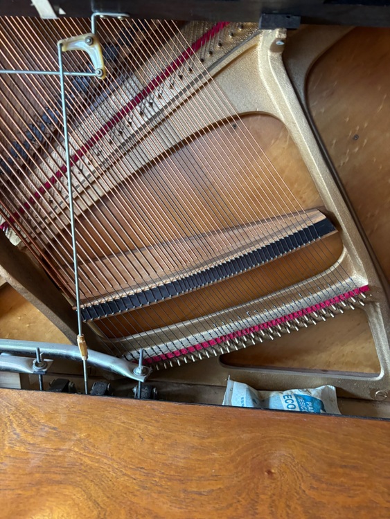 AH-23（ピアノ・楽器・PA機材）の商品画像 - 査定依頼日：2025年9月25日 - 最高査定価格：3,000円