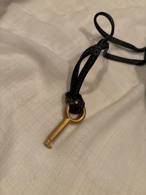 パディントン（ブランドバッグ）の商品画像 - 査定依頼日：2025年1月4日 - 最高査定価格：40,000円