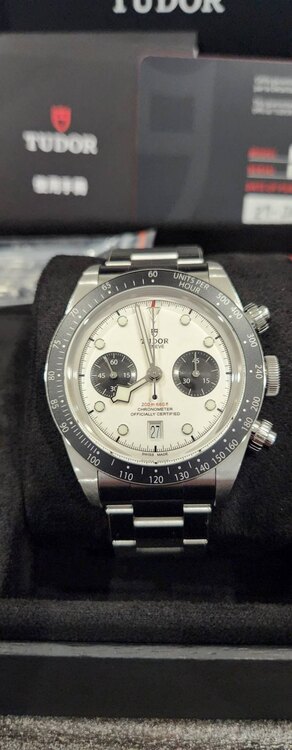 BLACK BAY CHRONO（高級時計）の商品画像 - 査定依頼日：2025年1月28日 - 最高査定価格：520,000円