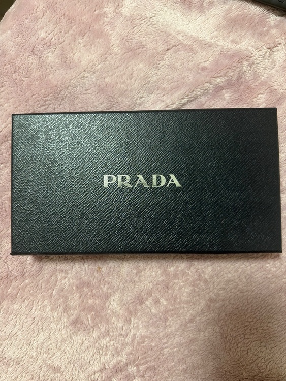 プラダ  （ブランドバッグ）の商品画像 - 査定依頼日：2026年4月7日 - 最高査定価格：33,000円