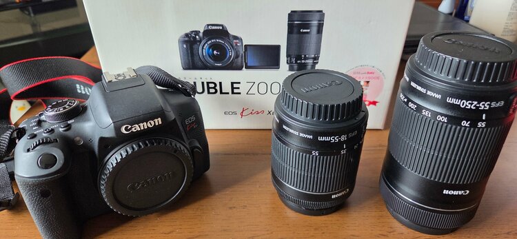 EOSkissX8iダブルズームキット（カメラ）の商品画像 - 査定依頼日：2026年4月14日 - 最高査定価格：40,000円