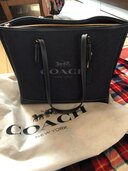 その他 コーチ （ブランドバッグ）の商品画像 - 査定依頼日：2025年3月31日 - 最高査定価格：8,000円