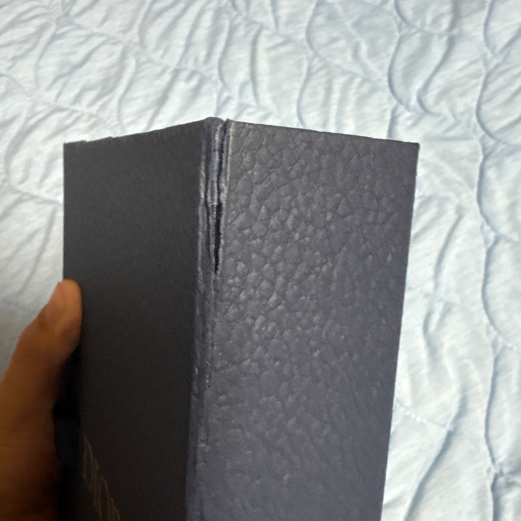 ディオール  （ブランドバッグ）の商品画像 - 査定依頼日：2025年9月23日 - 最高査定価格：40,000円