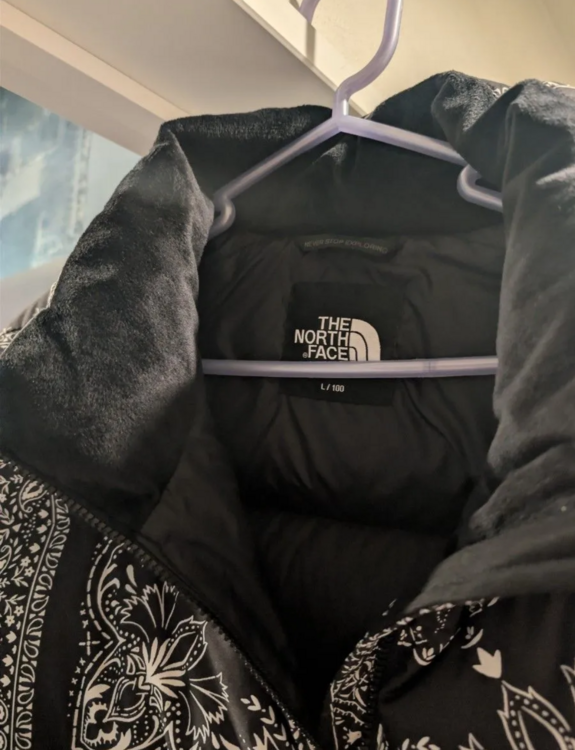 THE NORTH FACE/ノースフェイス/ DOWN JACKET（古着・ファッション）の商品画像 - 査定依頼日：2026年5月20日 - 最高査定価格：10,000円
